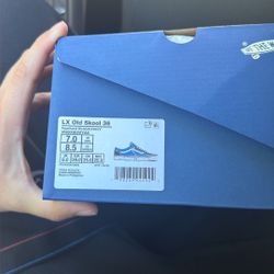 Vans Pearlized Size 7 & 8