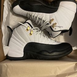Jordan 12 Taxi