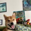 Yoshi