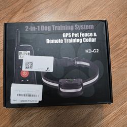 Dog Training Collar