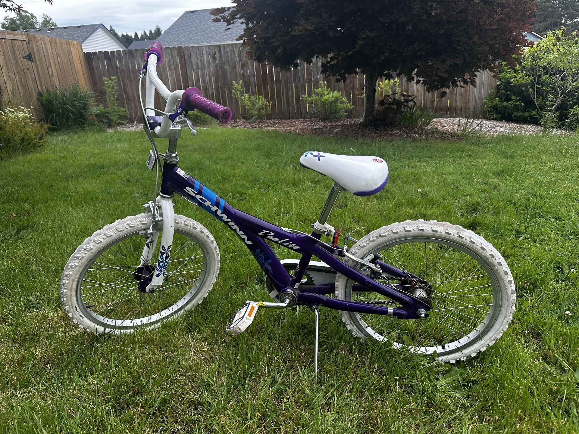 20” Schwinn Bike