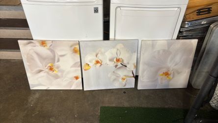 Move out sale!  Orchid Canvas