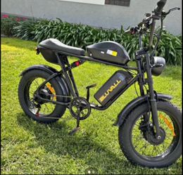 Bluvall Dual Motor Dual Battery Electric Dirt Bike,52V 43Ah 120 Miles Dual Hydraulic