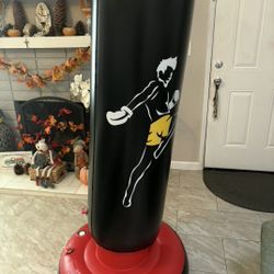 Punching Bag