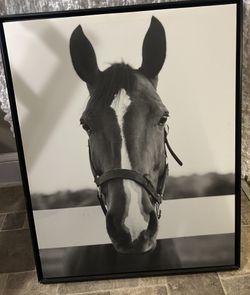 Framed Canvas “Meadow”