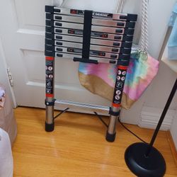 Ladder