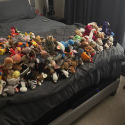 HUGE Beanie Baby Lot 