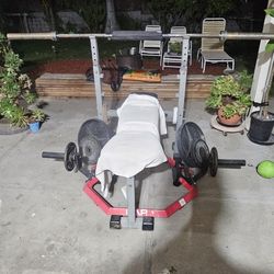 Olympic weights an bench