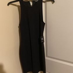 EXPRESS dress