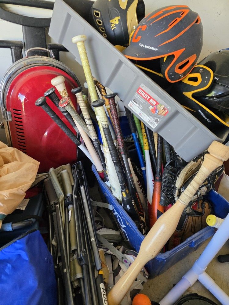 Lots Of Baseball Bats