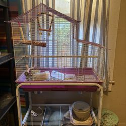 Bird Cage