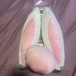 Bunny Ears & Tail Got Car