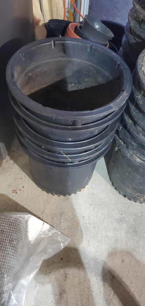 Variety Pots Plant Planter Sizes