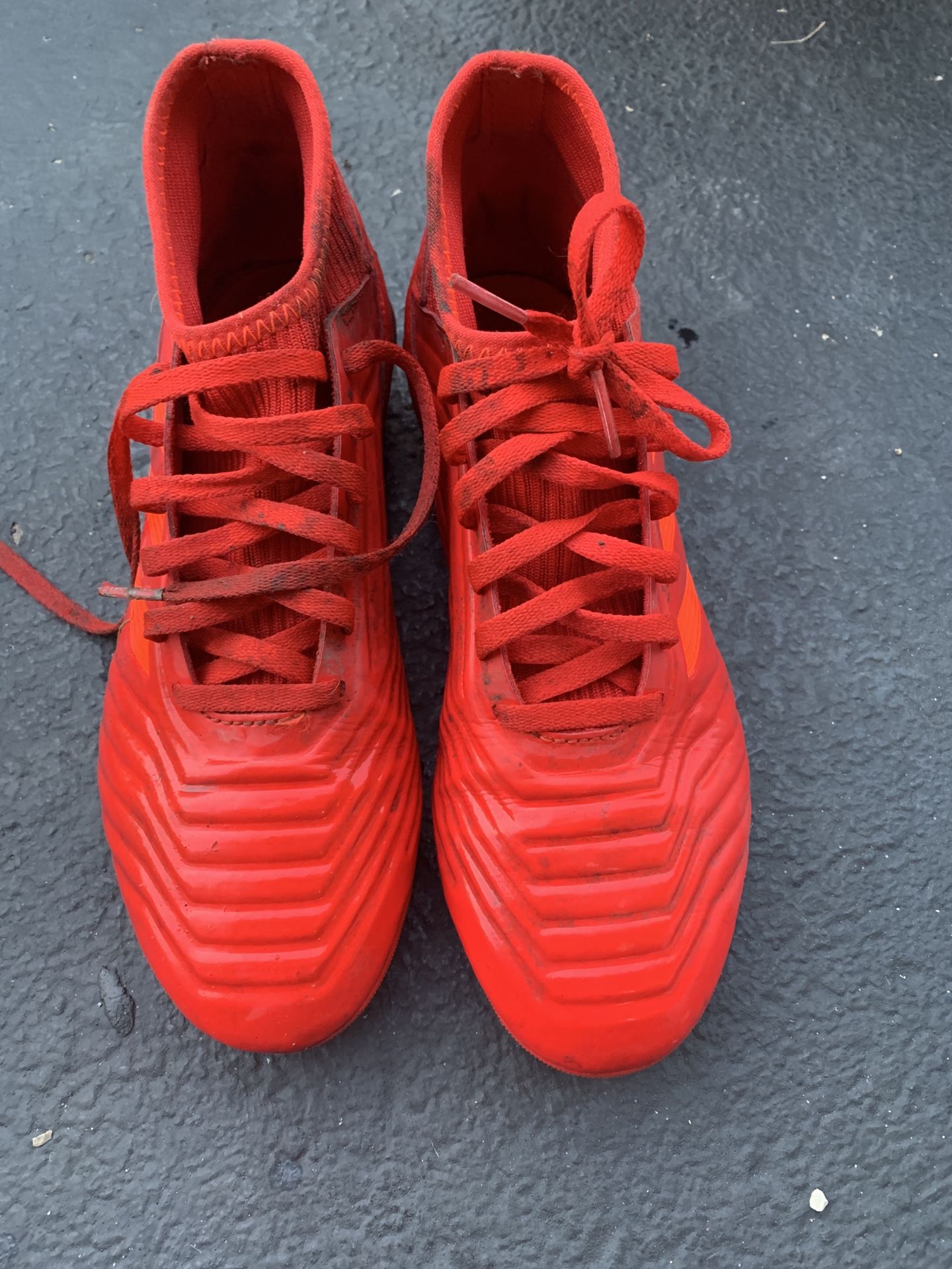 Soccer clits “PREDATOR”