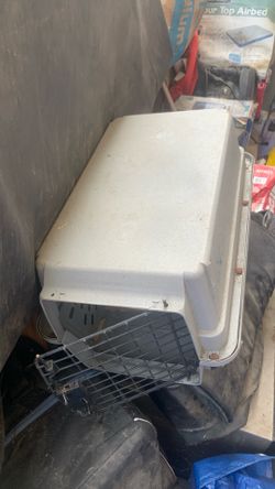 Cat cages