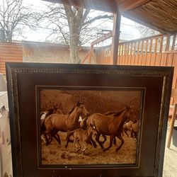 Running Horses Framed Landscape Animal Nature Art Print Single Piece Wall Decor