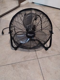 Fan