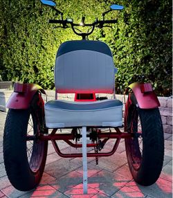 Electric Trike Three-Wheel Tricycle 750W FAT TIRE