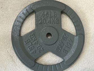 New SINGLE 45 lb Grey Solid Cast Iron Weight Plate for Standard Barbell