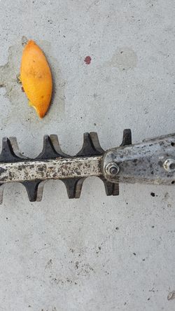 Echo weed eater