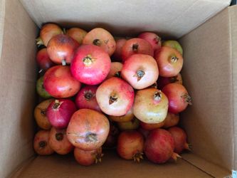 Organic Pomegranates