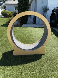 Cat Wheel