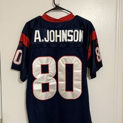 Vintage Houston Texans Andre Johnson Jersey (Size 48)