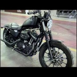 2013 Harley Davison 883 Sportster