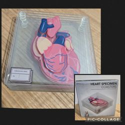 Heart Specimen Coaster Set of 6 Glass by Generix Geek Cardiology