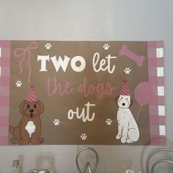 Girl’s 2nd birthday Party Decorations