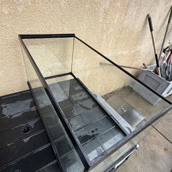 40 gallon aquarium