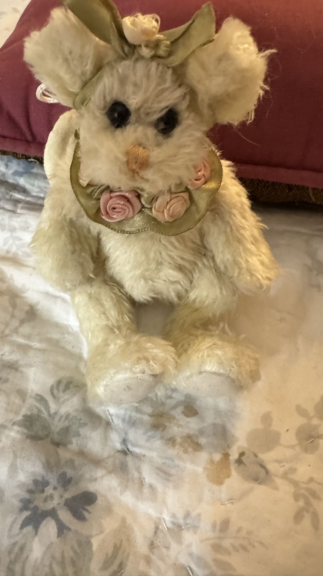 Boyd’s Bear