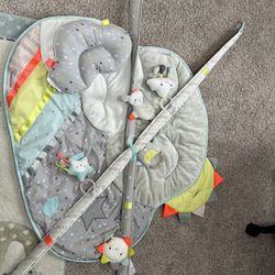 Baby Playmat