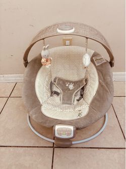 Baby Bouncer