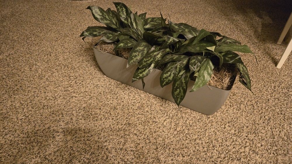 Beautiful Pot With Artificial Plants