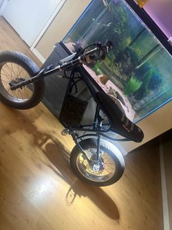 Ridstar