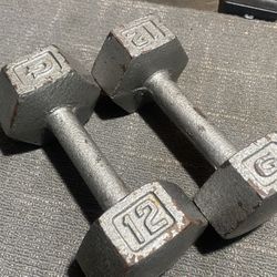 Pair Of 12 LB Dumbbells 