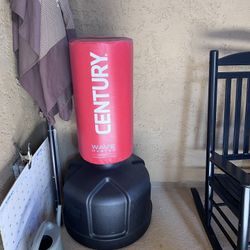 Century Wave Punching Bag