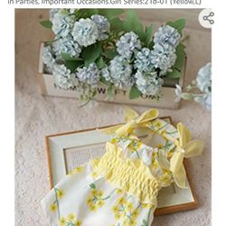 Small Dog  Summer Dress