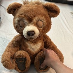 Talking teddy