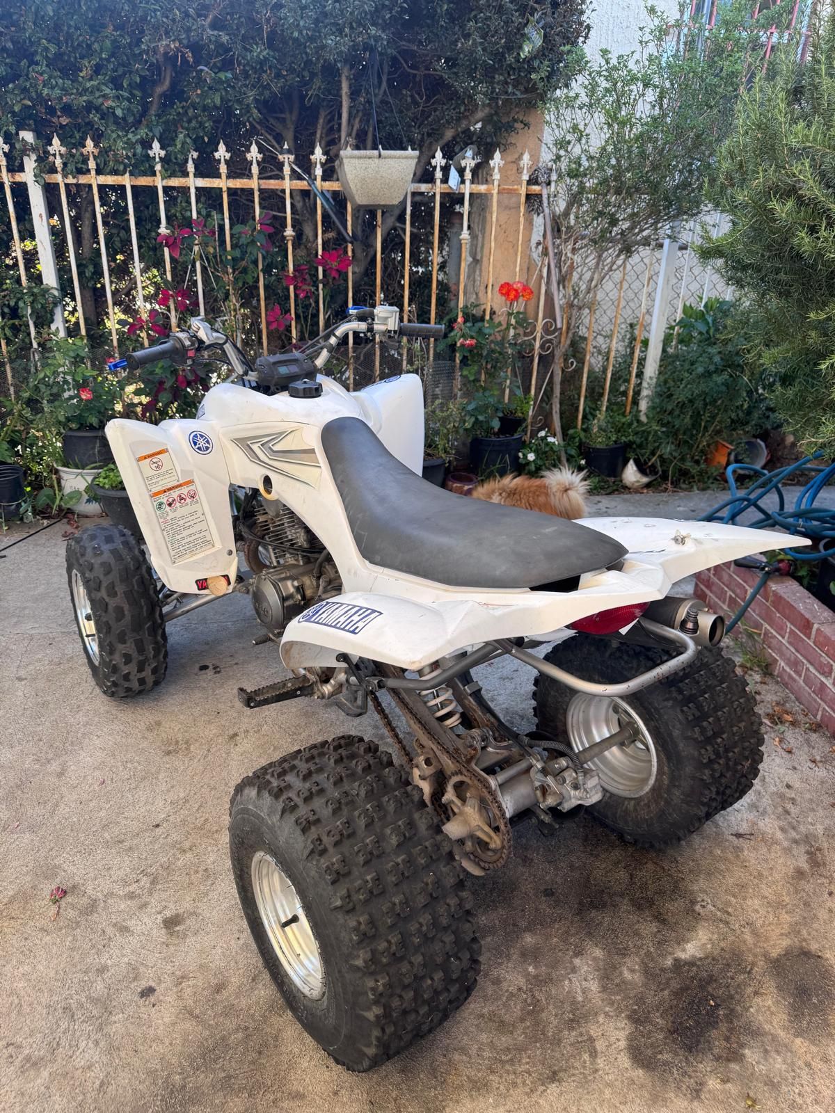 Yamaha Raptor