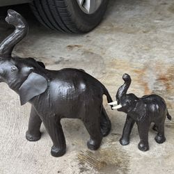 Elephants 