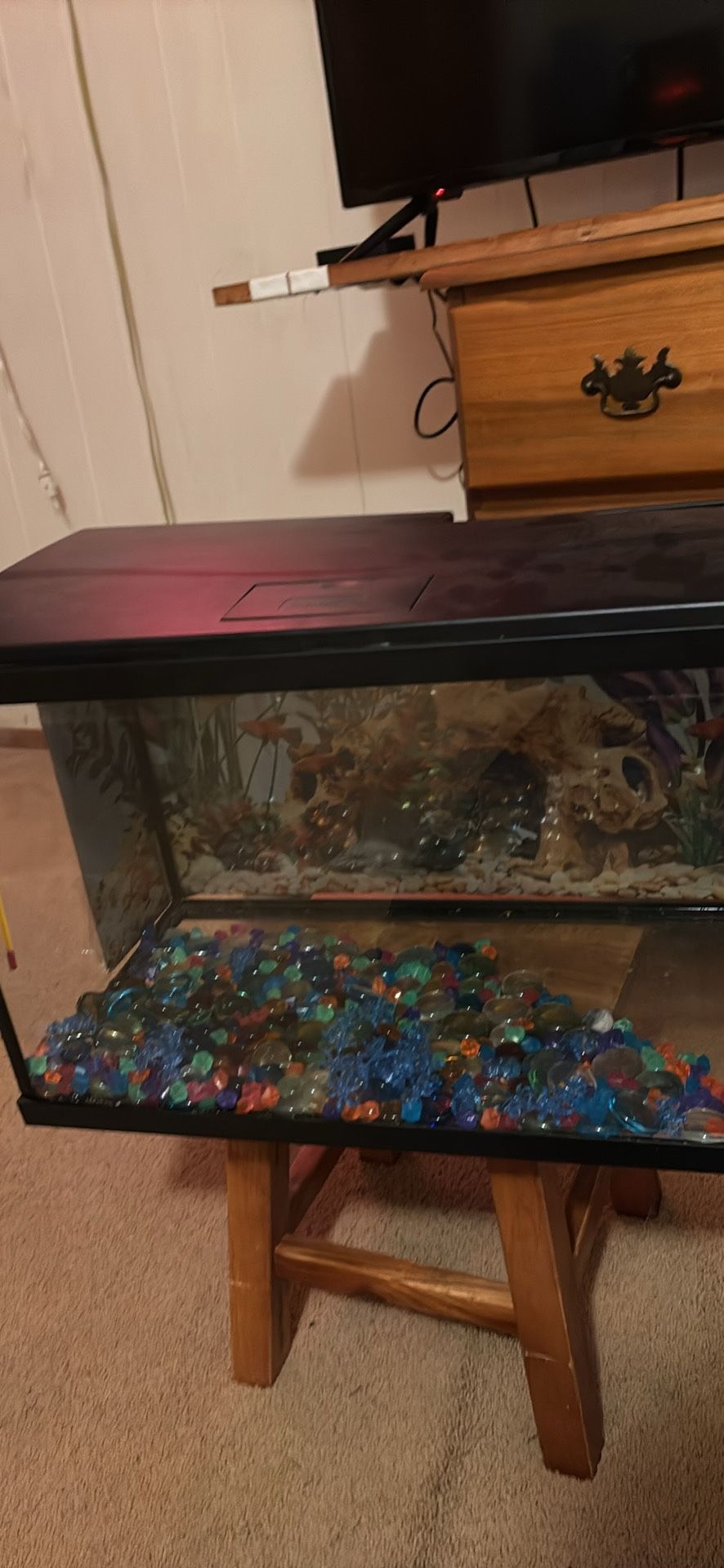 Medium Size Fish Tank