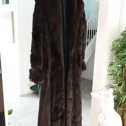 Mint Coat   
