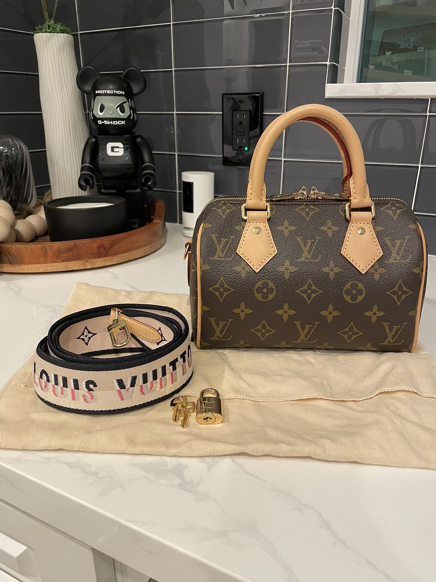 Louis Vuitton Speedy 20