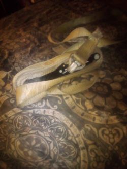 Tie Downs Good Condition.