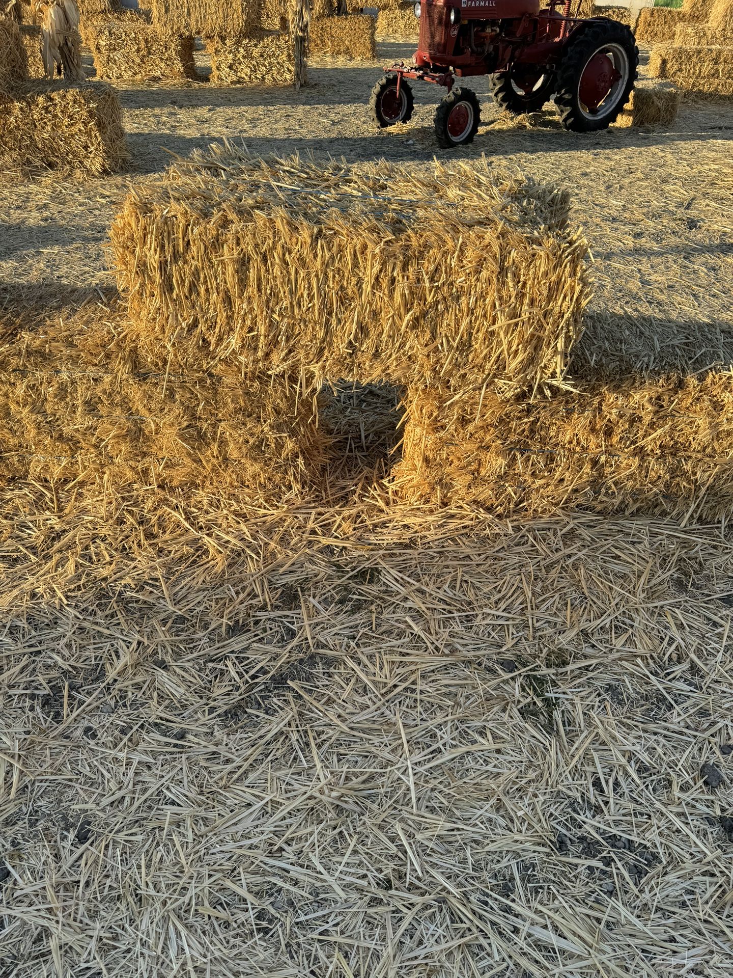 Hay