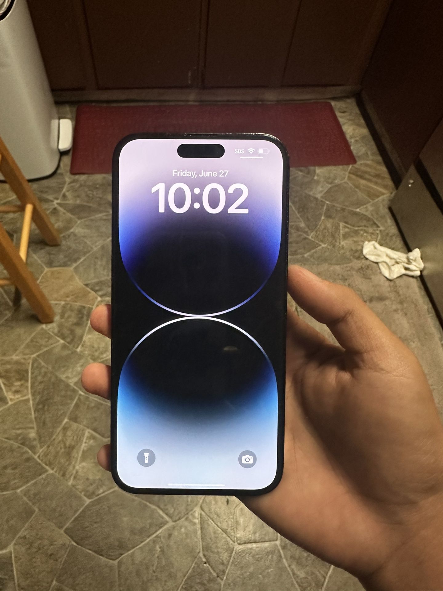 iPhone 14 Pro Max