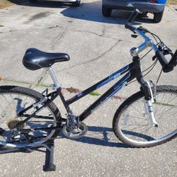 Diamondback Lustre 2 Excellent Condition Bicycle with 26" Tires Small Frame all tuned up, ready to ride   - $60 FIRM 