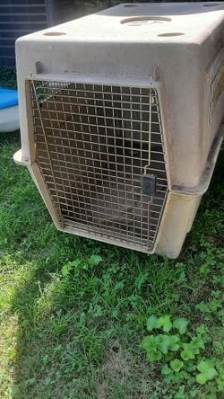 Large Plastic Dog Crate Travel Kennel